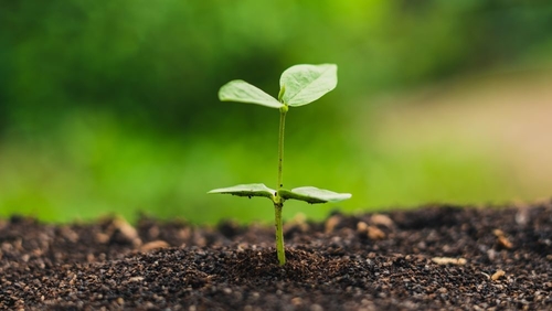 के बारे में नवीनतम कंपनी समाचार ऑस्ट्रेलिया चेतावनी देता हैः भ्रामक ️ कंपोस्टेबल ️ लेबल बड़े पैमाने पर प्लास्टिक संदूषण का कारण बनते हैं