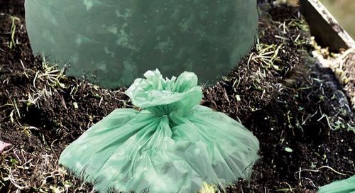 के बारे में नवीनतम कंपनी समाचार क्या कम्पोस्टेबल प्लास्टिक बैग बायोडिग्रेडेबल हैं?